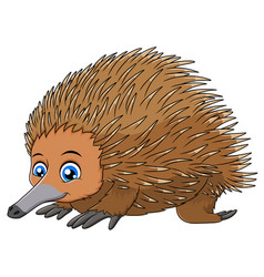 Cute Short-beaked Echidna Cartoon