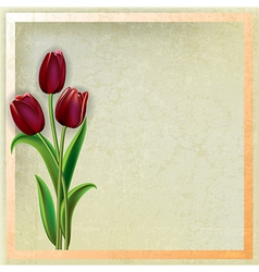 Abstract black grunge background with red tulips Vector Image