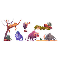 Cartoon Set Of African Wild Animals On White