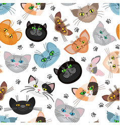 Cat Face Background With Paws