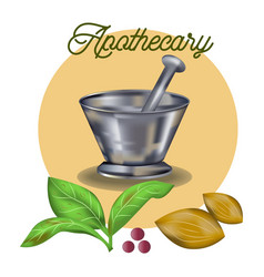 Apothecary And Herbal Medicine