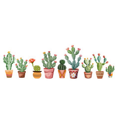 Set Of Blooming Cactuses Succulent Plants In Pots