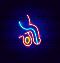 Man Reproductive System Neon Sign