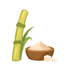 Sugarcane Organic Cartoon