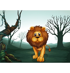 A Lion In Scary Forest