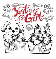 Best Gift Cat And Dog Isolated