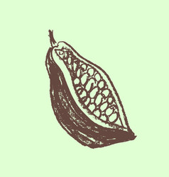 Cocoa Bean Icon In Vintage Hand-drawn Style