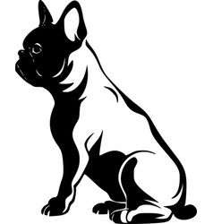 French Bulldog - Black And White