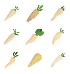 Parsnip Icons Set Flat Isolated