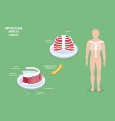 3d Isometric Flat Conceptual