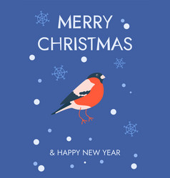 Christmas Card With Bullfinch And Snowflakes