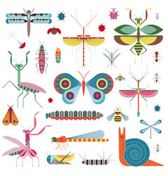 Meadow Insects And Geometric Bugs Icon Set