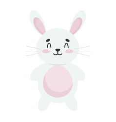 Rabbit Cute Animal