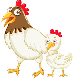 Mother Chicken And Her Baby Cartoon Animals