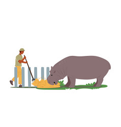 Zoo Worker Male Character Feeding Hippopotamus