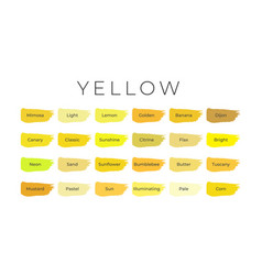 Yellow Paint Color Swatches With Shade Names