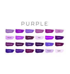 Purple Paint Color Swatches With Shade Names