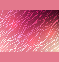 Abstract Presentation Line Wave Curve Pink