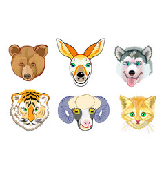 Set of cute tropical animals Royalty Free Vector Image