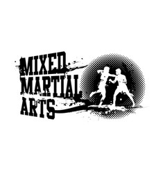 Mixed Martial Arts Banner