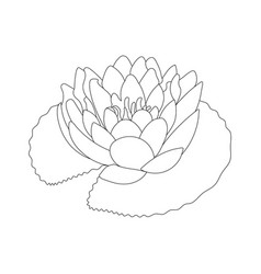 Lotus Flower Coloring Page For Kids