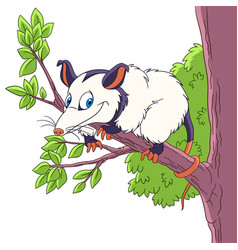 Cartoon Opossum Animal