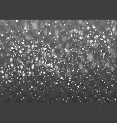 Falling Snow On A Transparent Background Snow