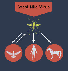 West Nile Virus Icon