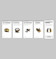 Wheat Grain Bread Harvest Onboarding Icons Set