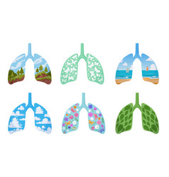 Cartoon Clean Lungs Human Healthy Lungs Green