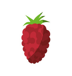 Blackberry Fruit Icon