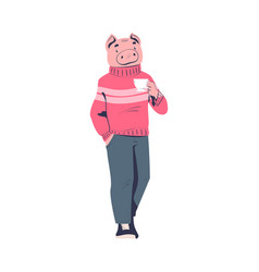 Man Pig Character Wearing Pink Sweater