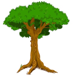 Majestic tree Royalty Free Vector Image - VectorStock