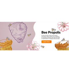 Bee Propolis Internet Banner Engraved