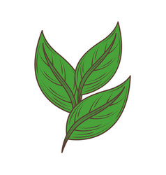 Green Leaves Icon