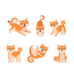 Adorable Shiba Inu Dog Character Engaged In