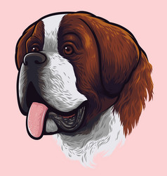 Saint Bernard Dog Portrait