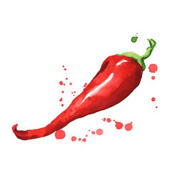 Fresh Ripe Red Hot Chili Pepper Watercolor