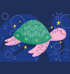 Turtle Sea Life