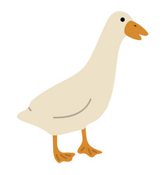 Duck White Single 44