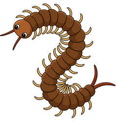 Centipede Animal Cartoon Colored Clipart