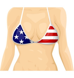 Usa Flag Bikini