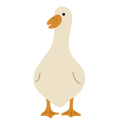 Duck White Single 46