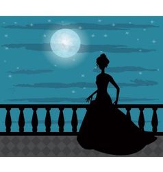 Silhouette Of A Woman In The Night