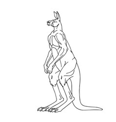 Australian Male Kangaroo Black Ink Lines