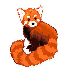 Clip Art With Hand Drawn Cartoon Red Panda