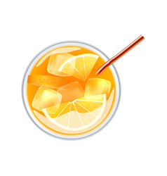 Realistic Citrus Cocktail Composition