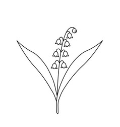 Lily Of The Valley In Doodle Line Style