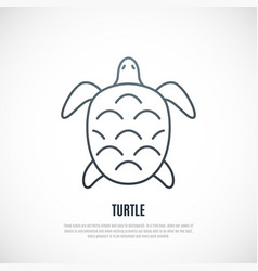 Turtle Line Icon Isolated On White Background