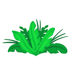 Tropical Bush Jungle Green Plant Cartoon Icon